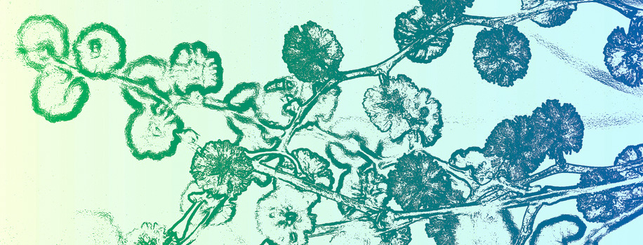 Trial card designs by photojenni